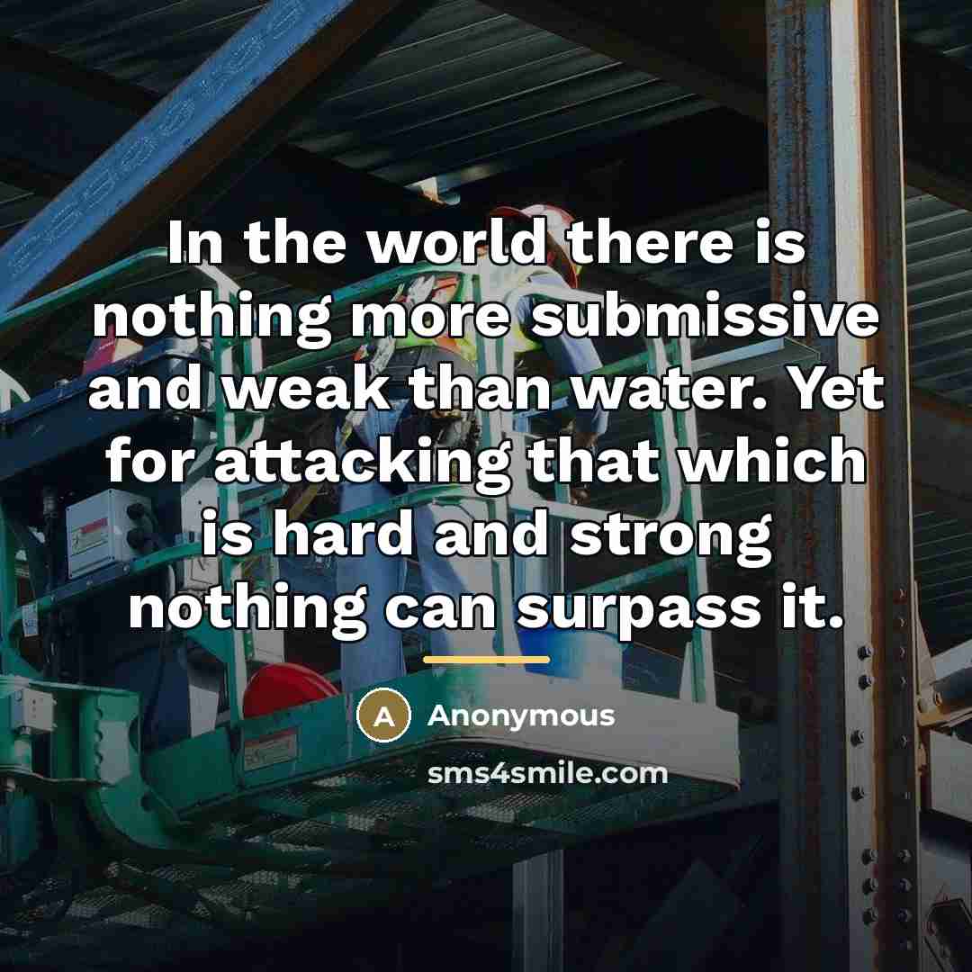 “In the world there is nothing more submissive and weak…” quote by Anonymous
