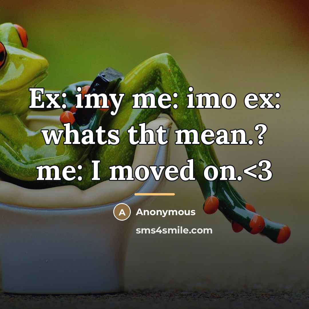 “Ex: imy me: imo ex: whats tht mean.? me: I…” quote by Anonymous