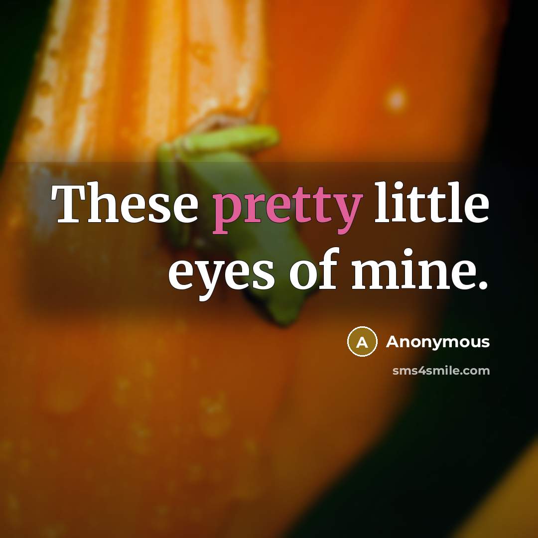 “These pretty little eyes of mine.…” quote by Anonymous