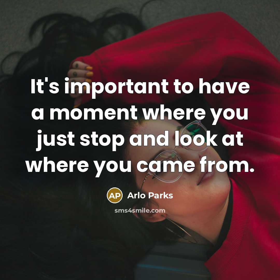 “It's important to have a moment where you just stop…” quote by Arlo Parks