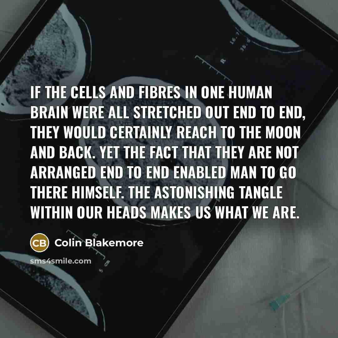“If the cells and fibres in one human brain were…” quote by Colin Blakemore