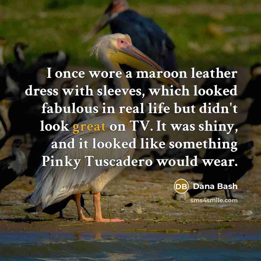 “I once wore a maroon leather dress with sleeves, which…” quote by Dana Bash