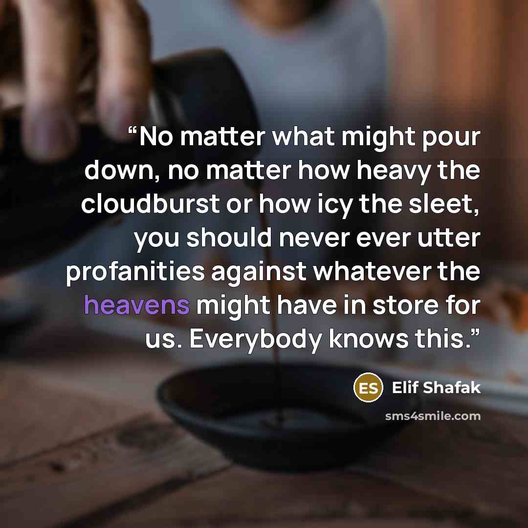 “No matter what might pour down, no matter how heavy the cloudburst or how icy the sleet, you should never ever utter profanities against whatever the heavens might have in store for us. Everybody knows this.” quote by Elif Shafak