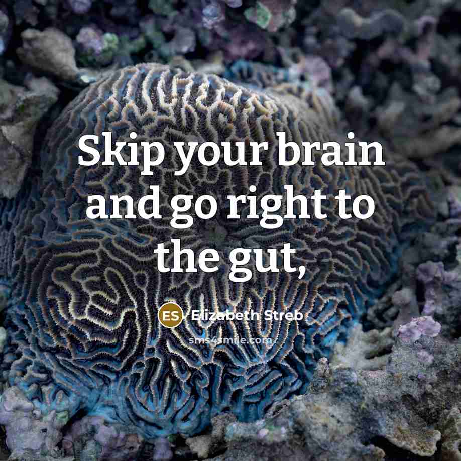 “Skip your brain and go right to the gut,…” quote by Elizabeth Streb