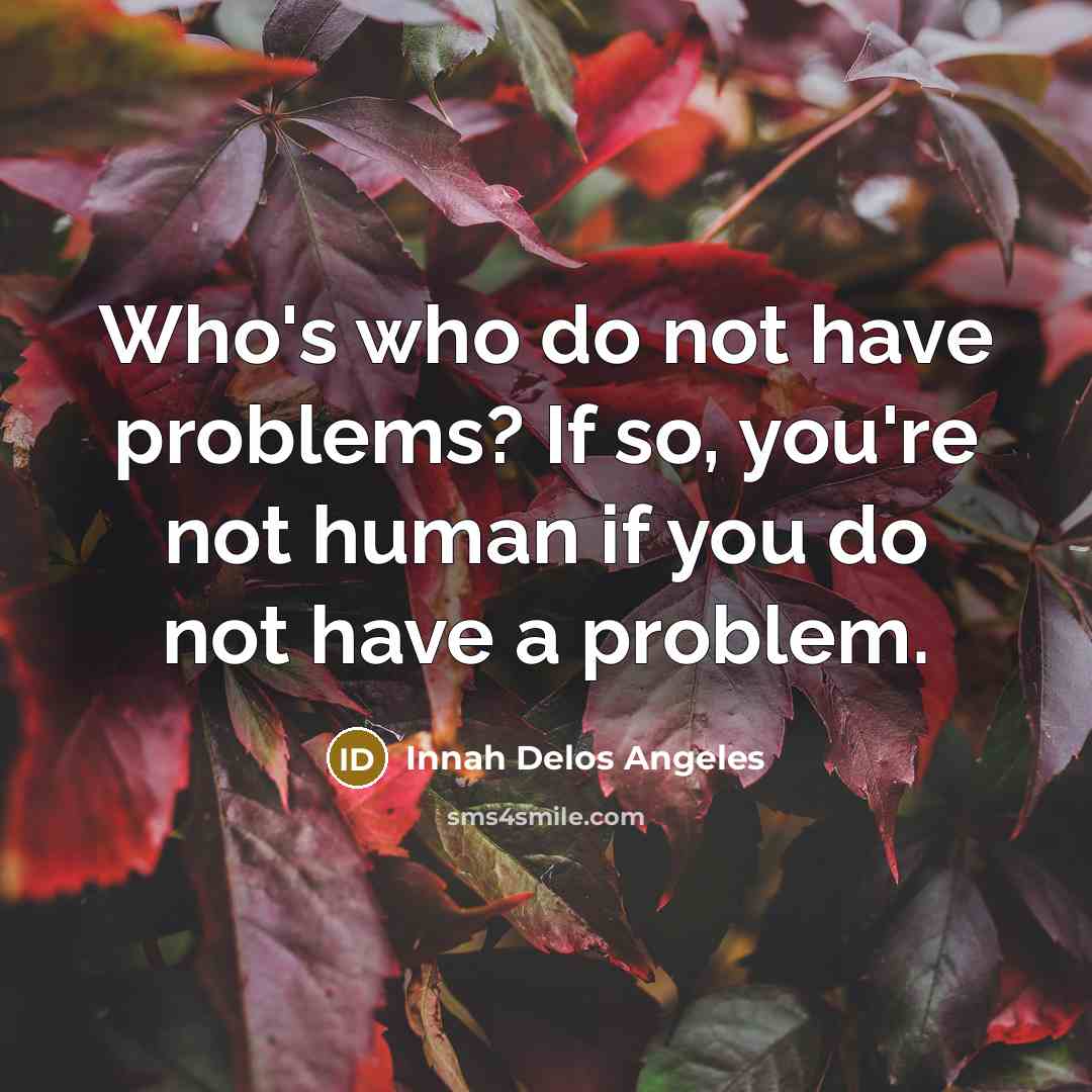 “Who's who do not have problems? If so, you're not…” quote by Innah Delos Angeles