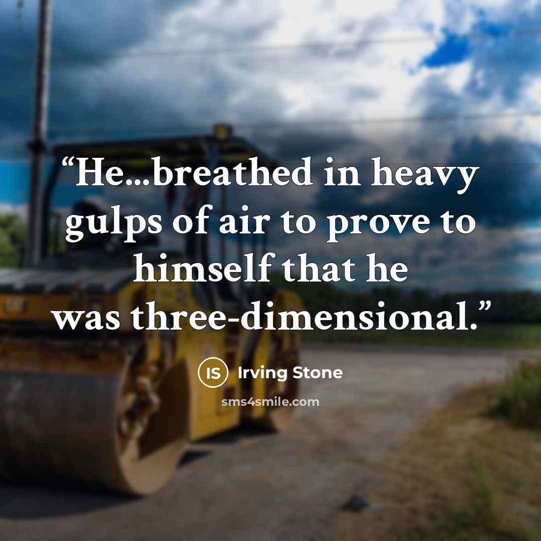 “He...breathed in heavy gulps of air to prove to himself that he was three-dimensional.” quote by Irving Stone