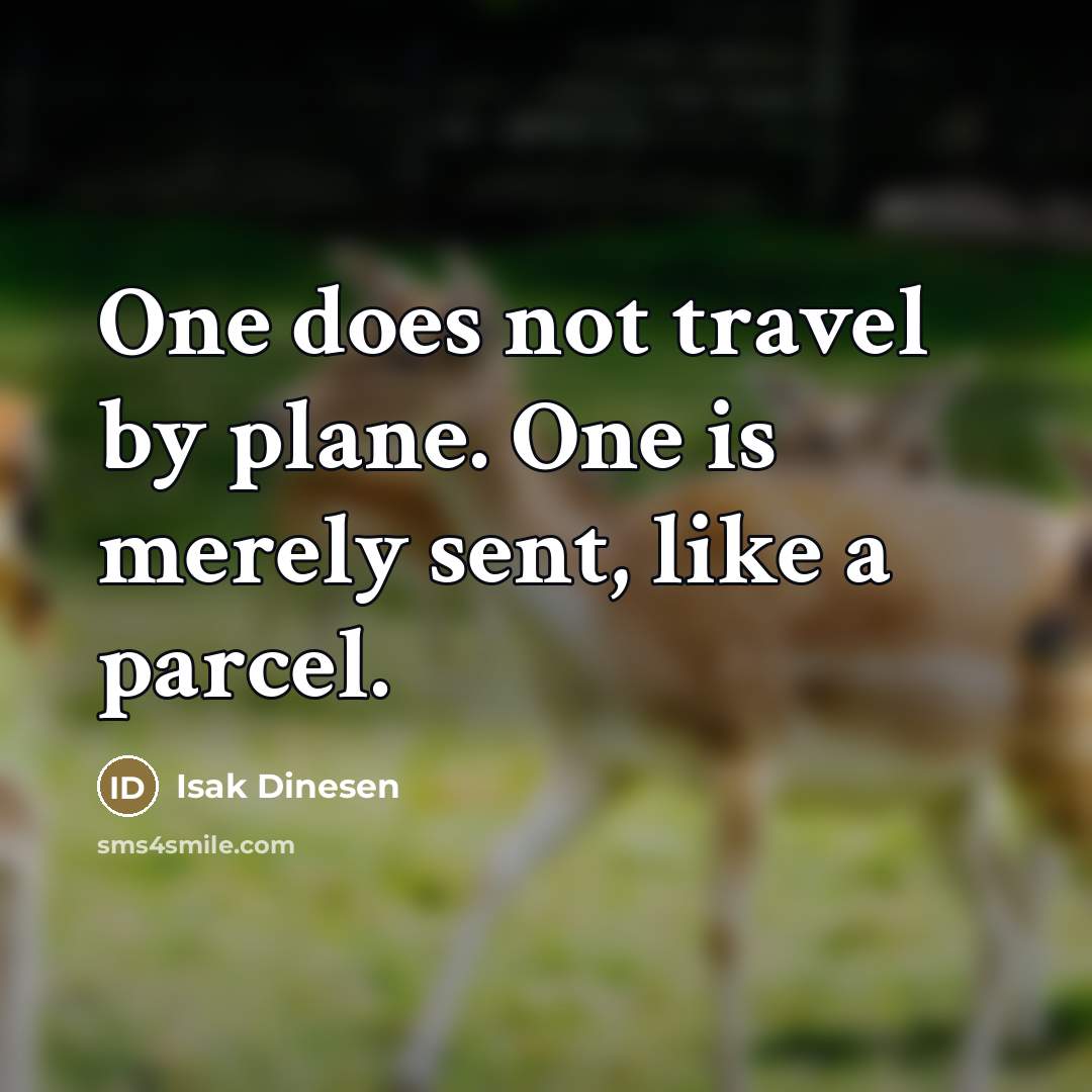 “One does not travel by plane. One is merely sent,…” quote by Isak Dinesen