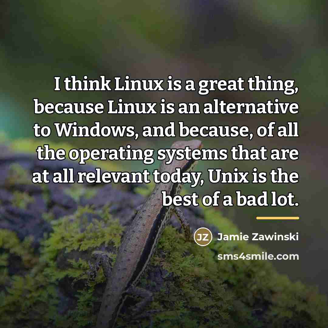 “I think Linux is a great thing, because Linux is…” quote by Jamie Zawinski