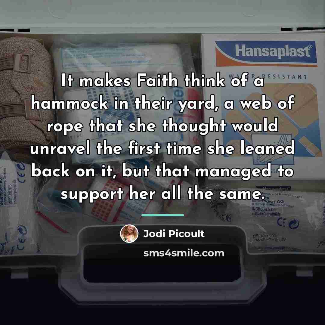 “It makes Faith think of a hammock in their yard,…” quote by Jodi Picoult