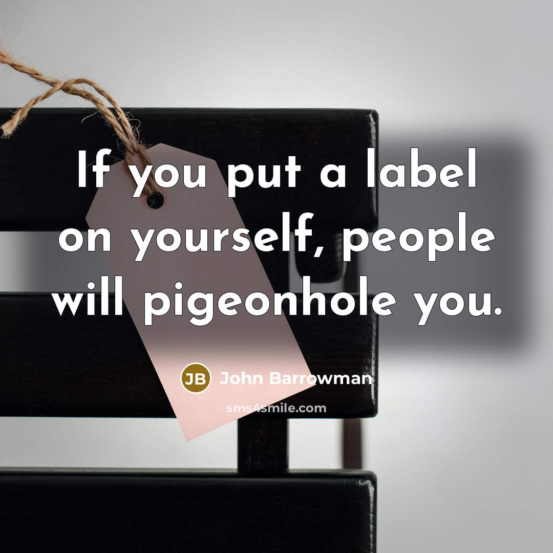 “If you put a label on yourself, people will pigeonhole…” quote by John Barrowman