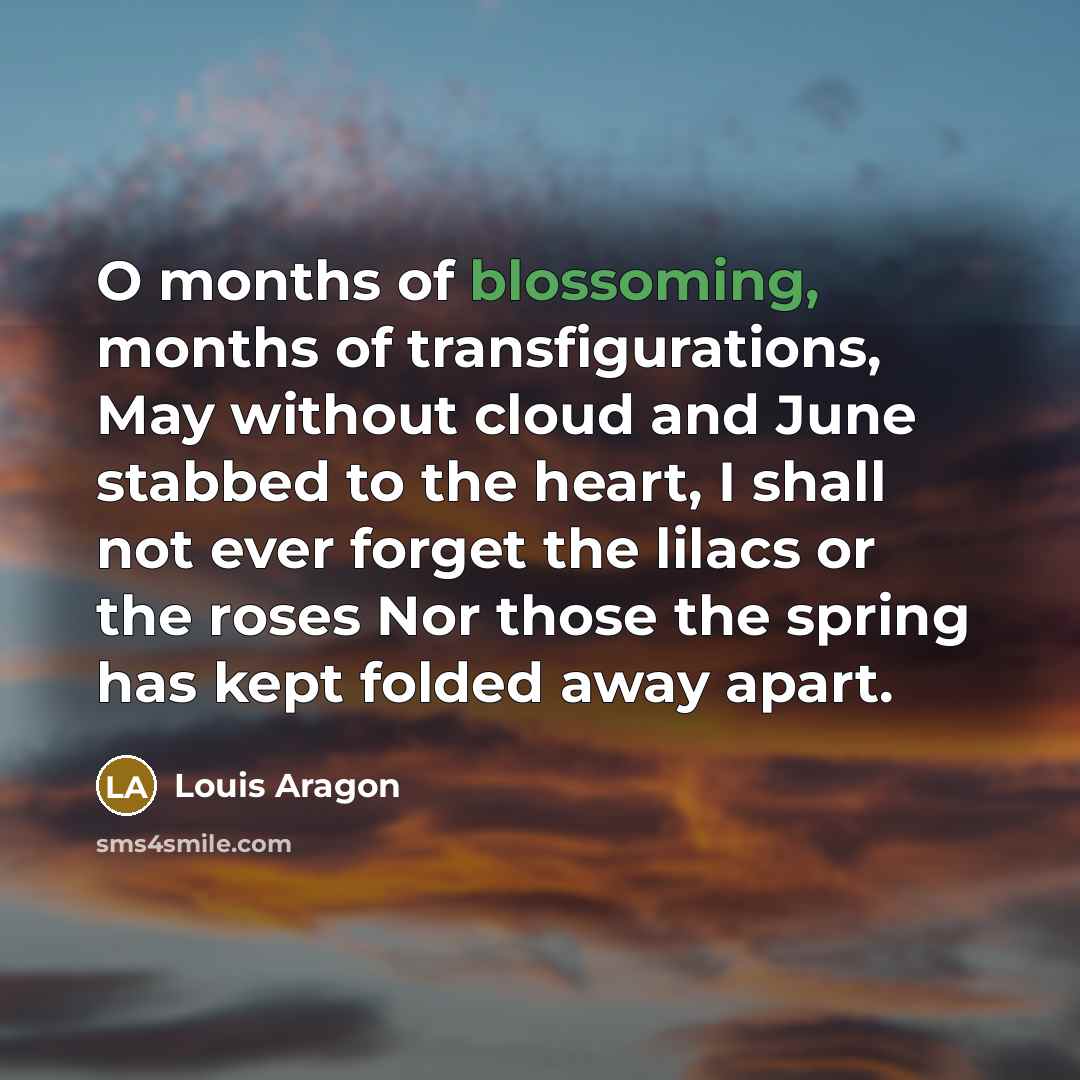“O months of blossoming, months of transfigurations, May without cloud…” quote by Louis Aragon