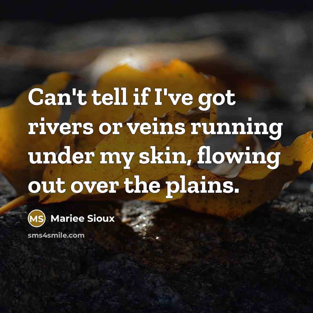 “Can't tell if I've got rivers or veins running under my skin, flowing out over the plains.” quote by Mariee Sioux