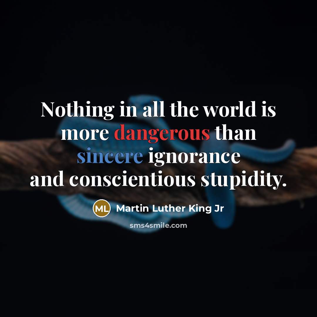 “Nothing in all the world is more dangerous than sincere…” quote by Martin Luther King Jr