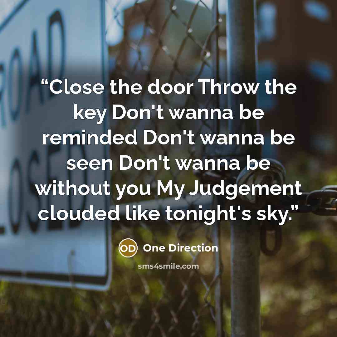 “Close the door Throw the key Don't wanna be reminded Don't wanna be seen Don't wanna be without you My Judgement clouded like tonight's sky.” quote by One Direction
