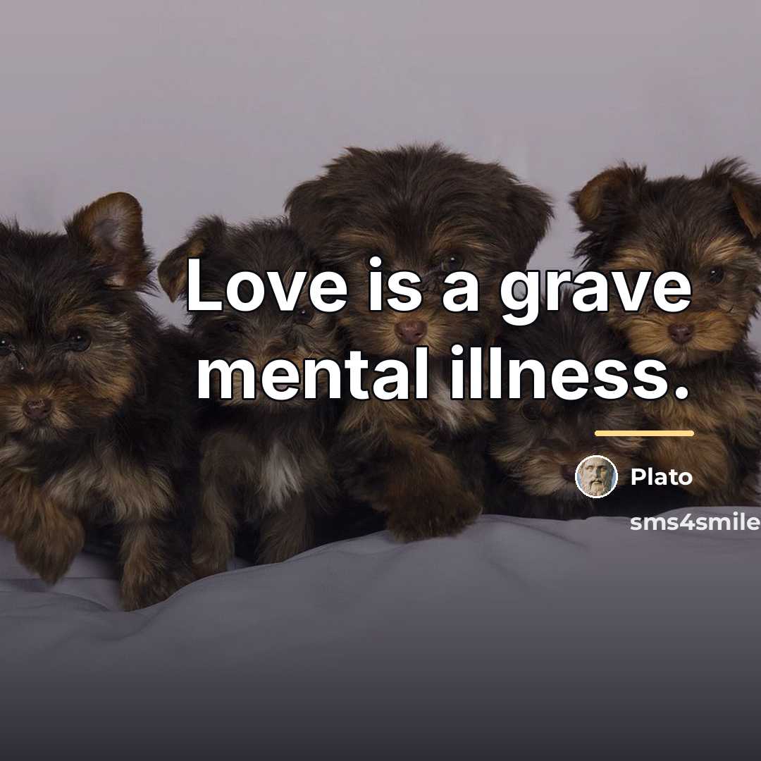 “Love is a grave mental illness.…” quote by Plato
