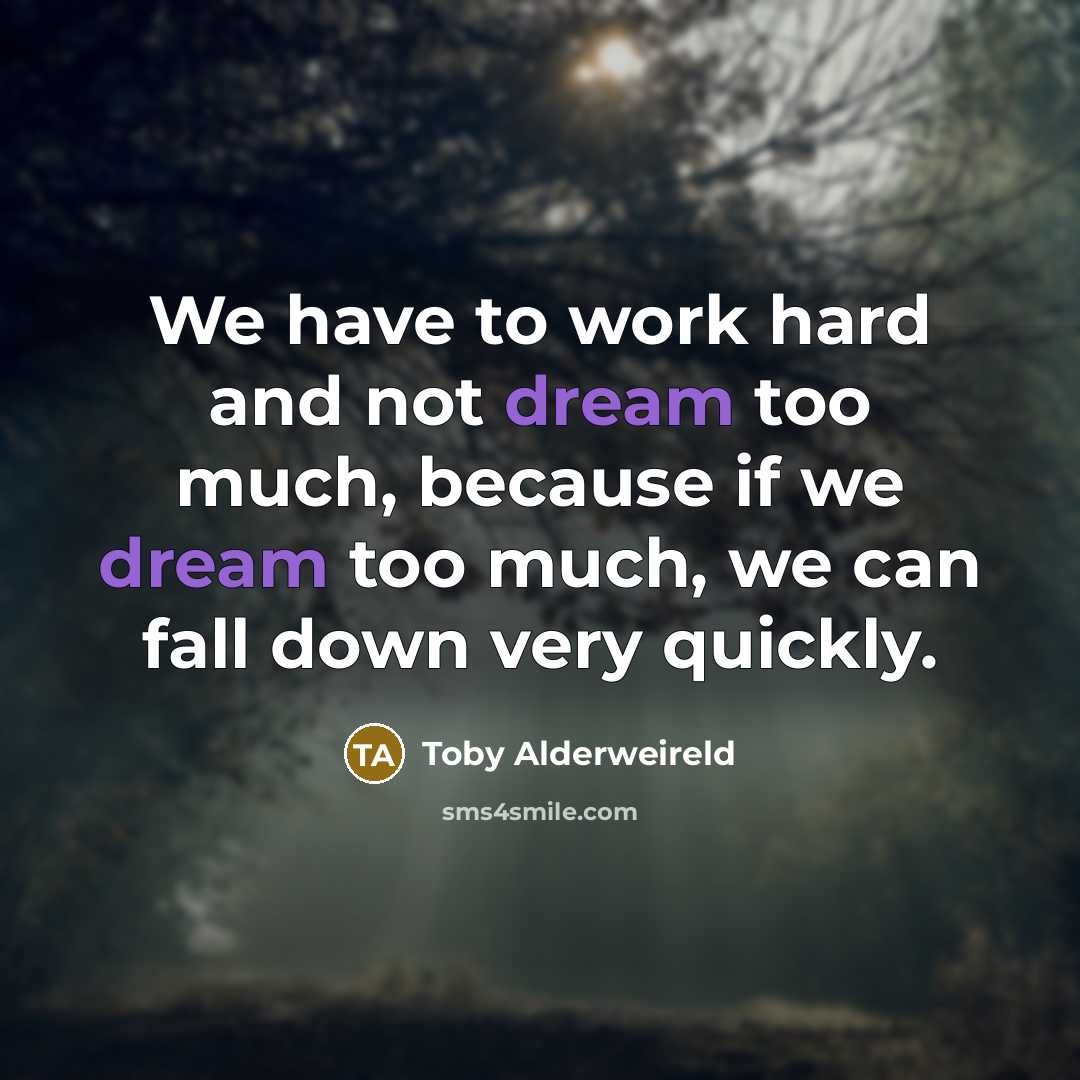 “We have to work hard and not dream too much,…” quote by Toby Alderweireld