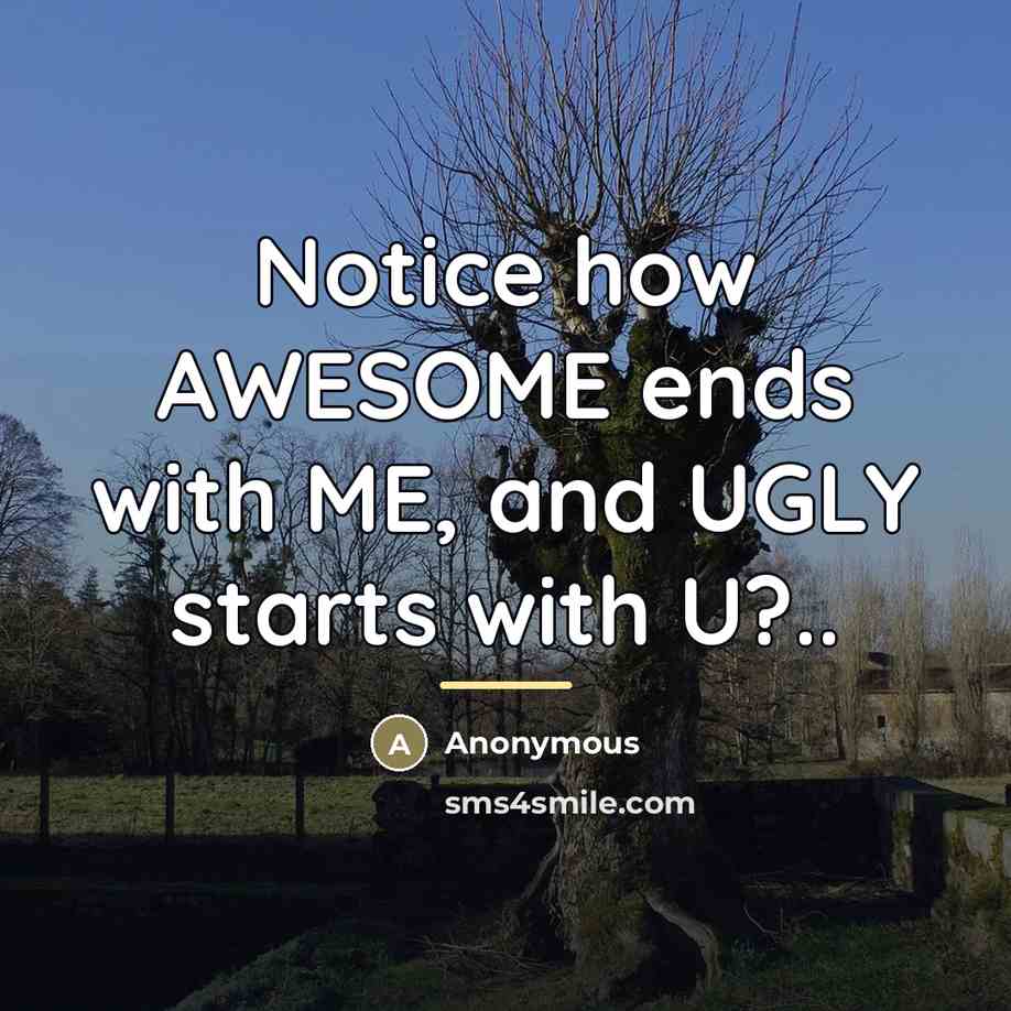 “Notice how AWESOME ends with ME, and UGLY starts with…” quote by Anonymous