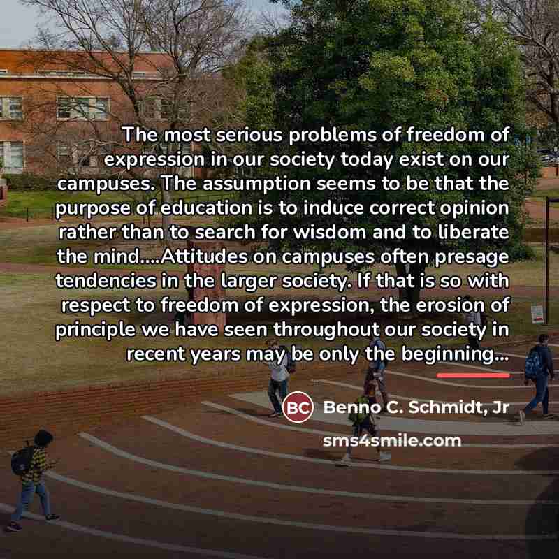 “The most serious problems of freedom of expression in our…” quote by Benno C. Schmidt, Jr