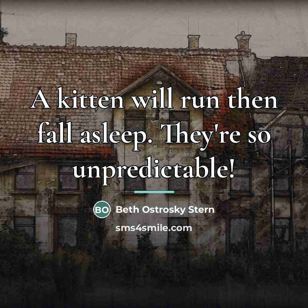 “A kitten will run then fall asleep. They're so unpredictable!…” quote by Beth Ostrosky Stern