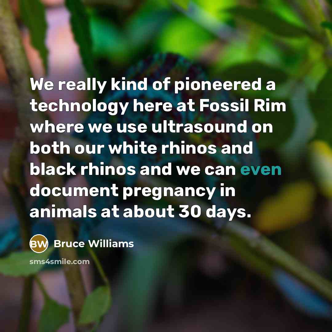 “We really kind of pioneered a technology here at Fossil…” quote by Bruce Williams