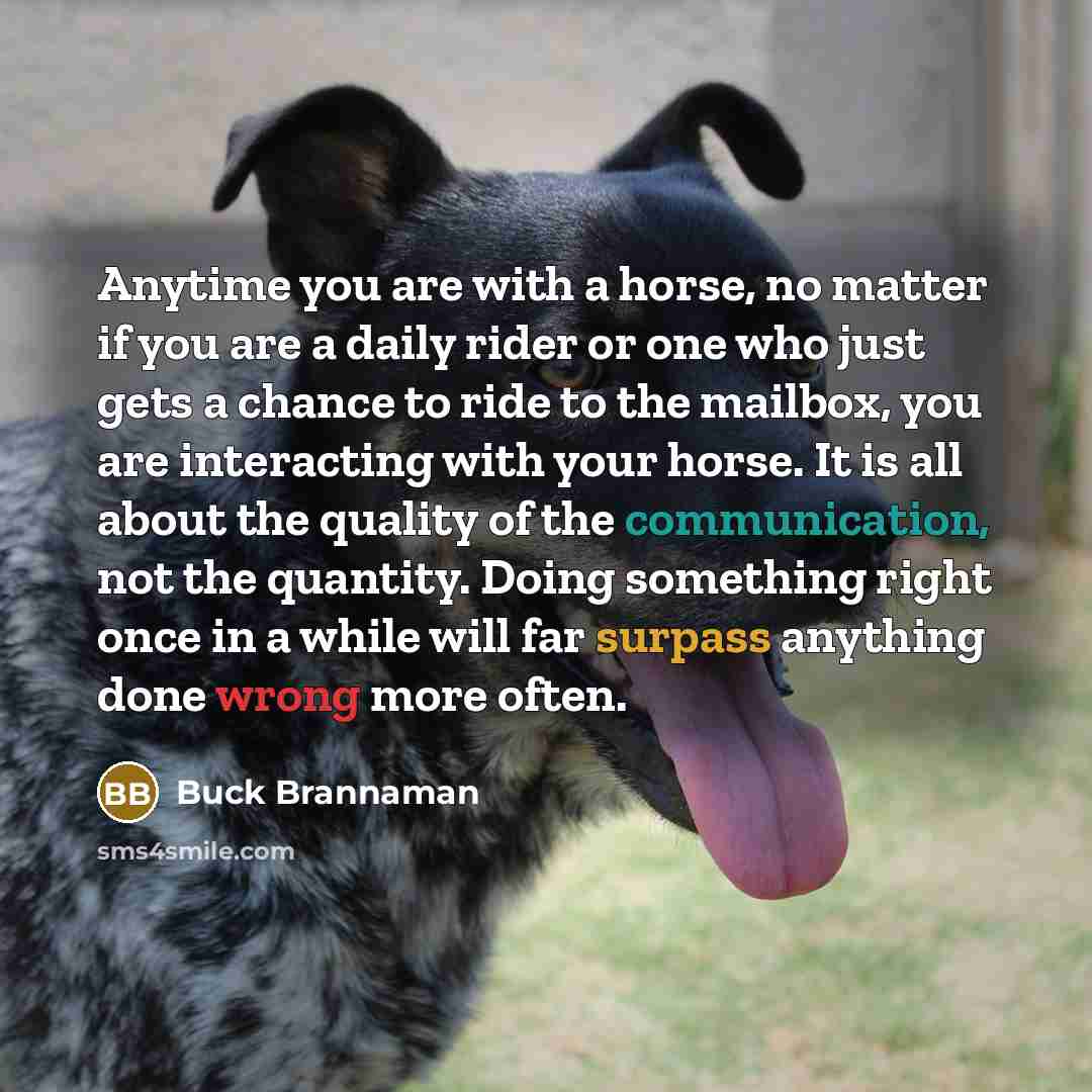 “Anytime you are with a horse, no matter if you…” quote by Buck Brannaman