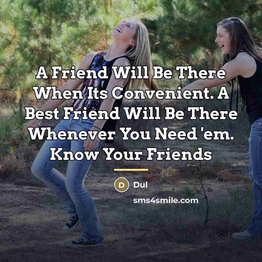 “A Friend Will Be There When Its Convenient. A Best…” quote by Dul