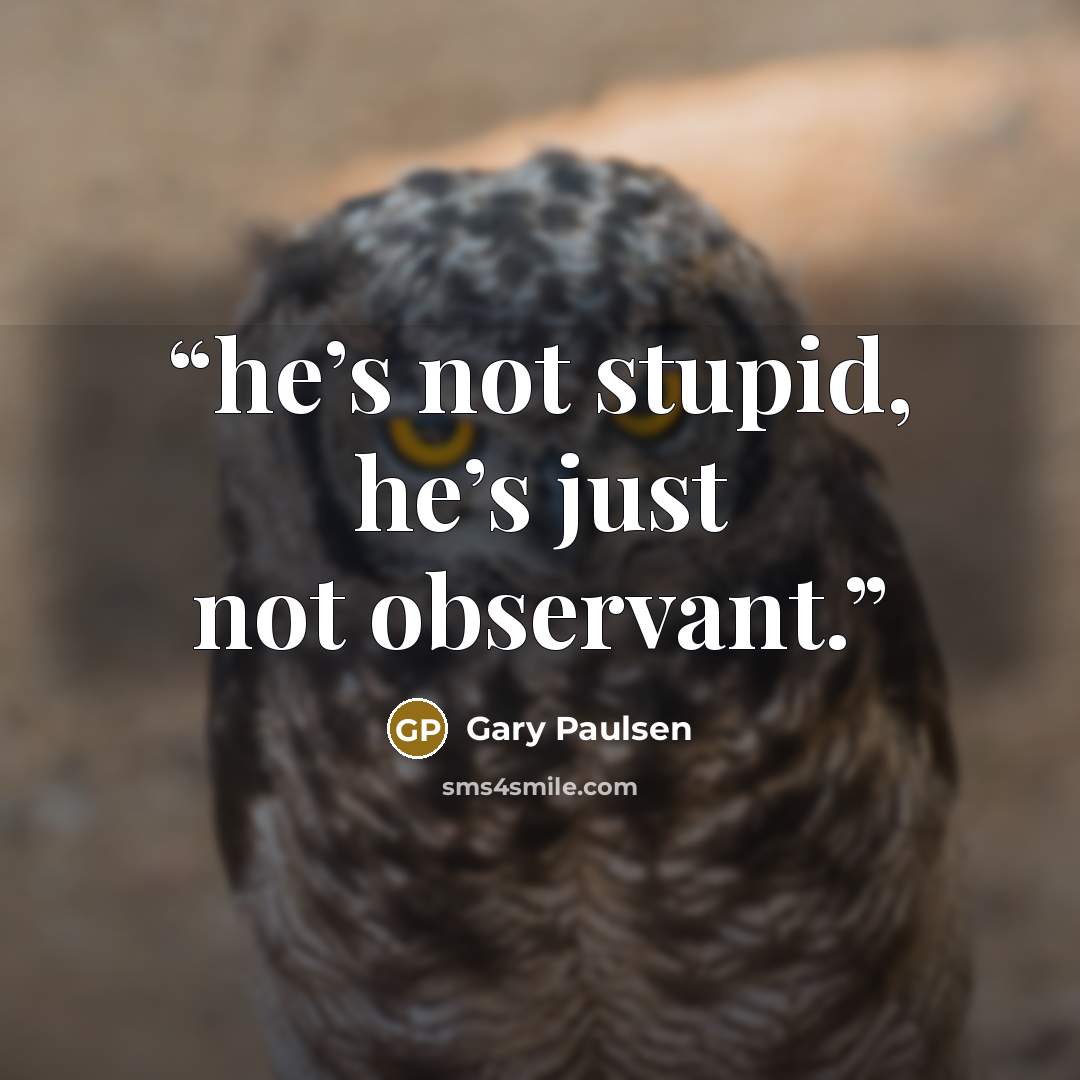 “he’s not stupid, he’s just not observant.” quote by Gary Paulsen