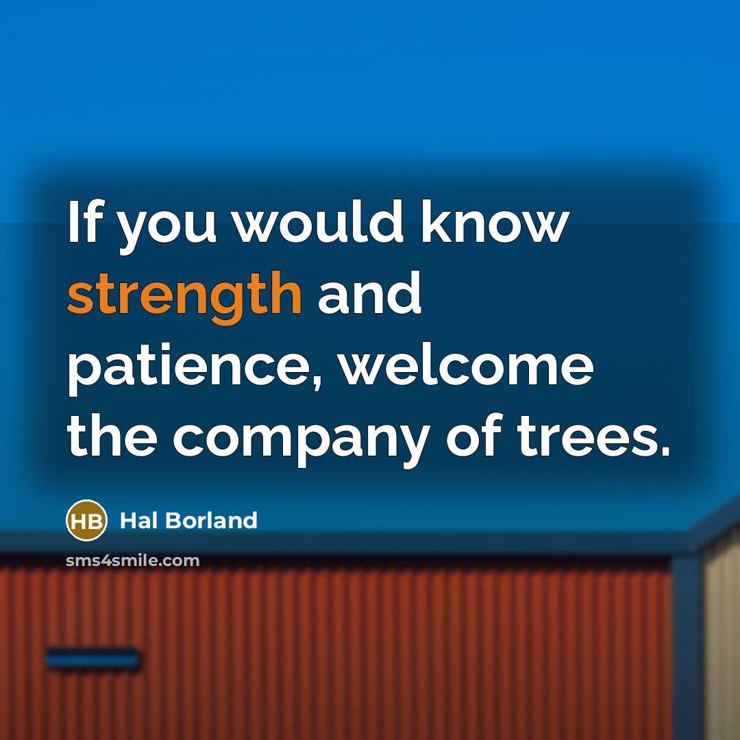 “If you would know strength and patience, welcome the company…” quote by Hal Borland
