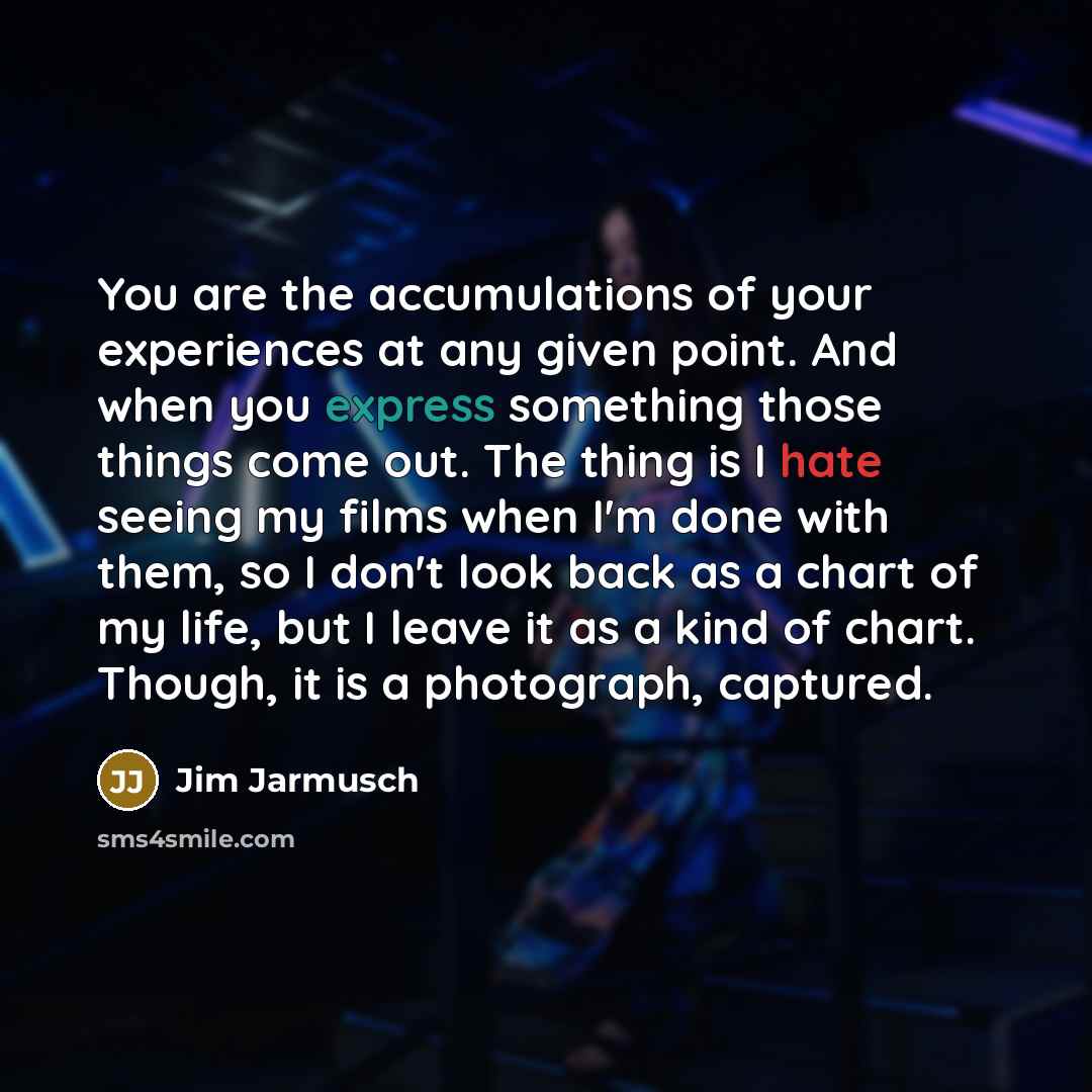 “You are the accumulations of your experiences at any given…” quote by Jim Jarmusch