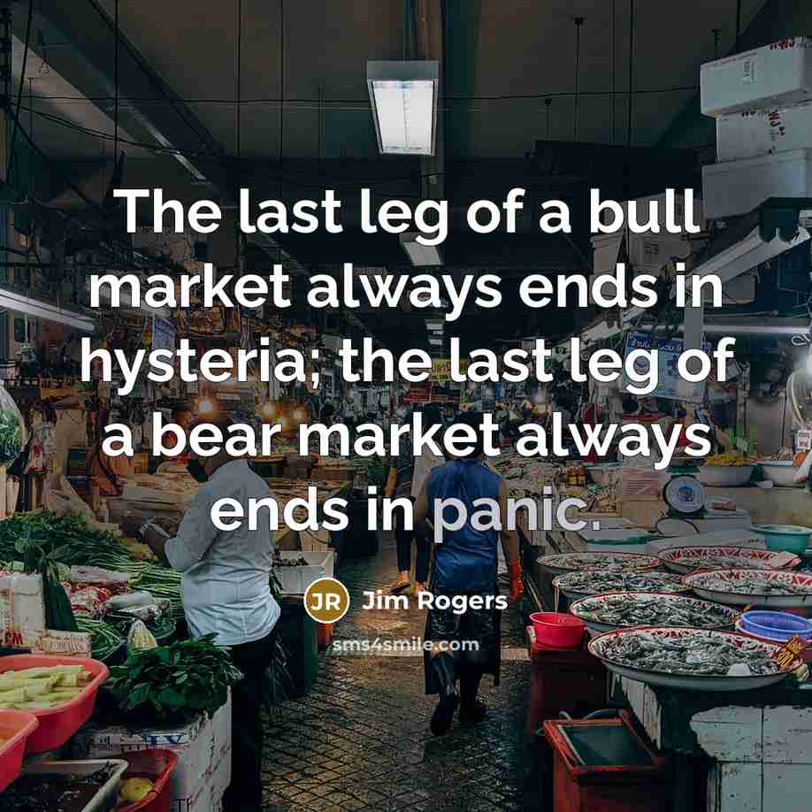 “The last leg of a bull market always ends in…” quote by Jim Rogers