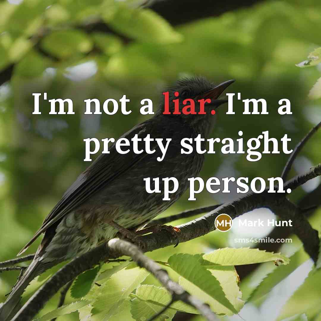 “I'm not a liar. I'm a pretty straight up person.…” quote by Mark Hunt