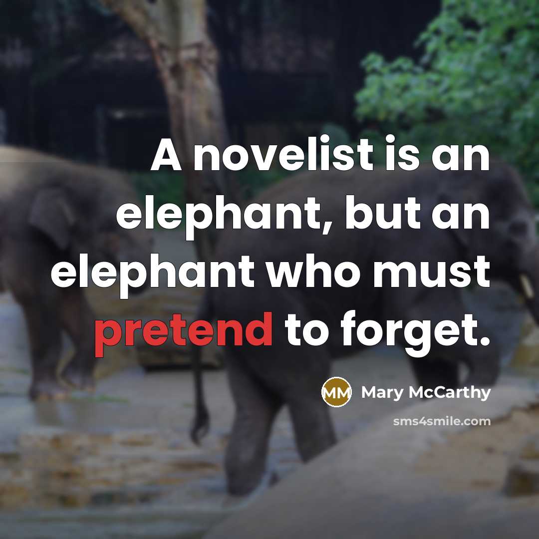 “A novelist is an elephant, but an elephant who must…” quote by Mary McCarthy
