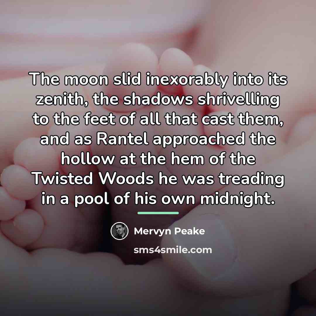 “The moon slid inexorably into its zenith, the shadows shrivelling…” quote by Mervyn Peake