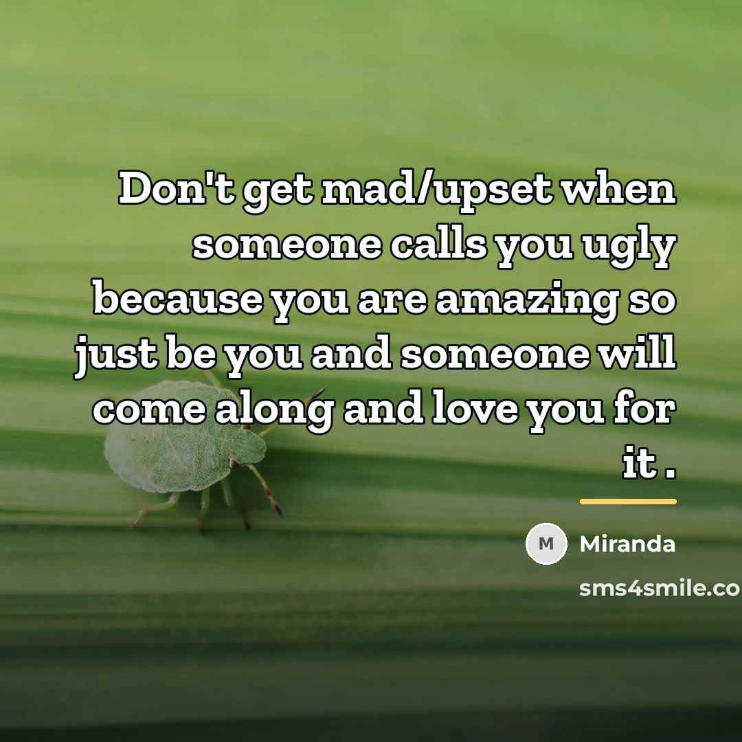 “Don't get mad/upset when someone calls you ugly because you…” quote by Miranda