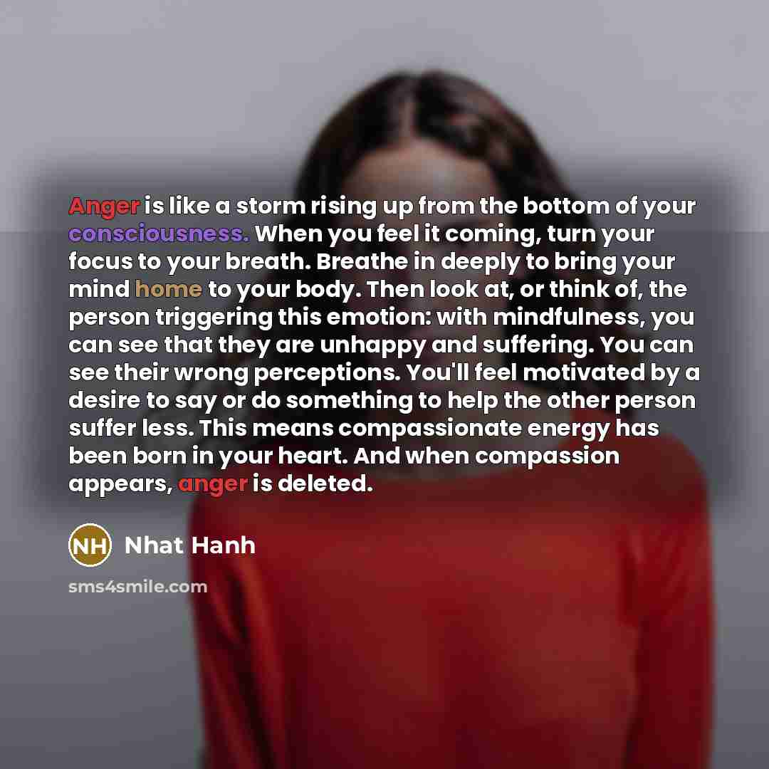 “Anger is like a storm rising up from the bottom of your consciousness. When you feel it coming, turn your focus to your breath. Breathe in deeply to bring your mind home to your body. Then look at, or think of, the person triggering this emotion: with mindfulness, you can see that they are unhappy…” quote by Nhat Hanh