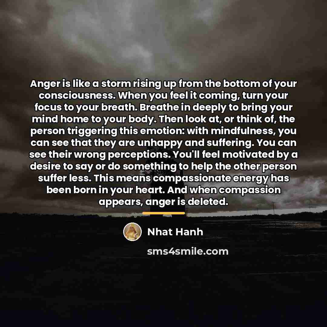 “Anger is like a storm rising up from the bottom…” quote by Nhat Hanh