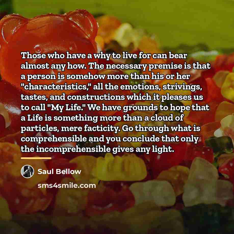 “Those who have a why to live for can bear…” quote by Saul Bellow