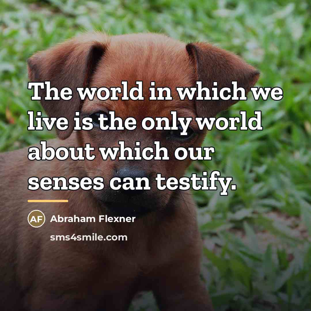 “The world in which we live is the only world…” quote by Abraham Flexner