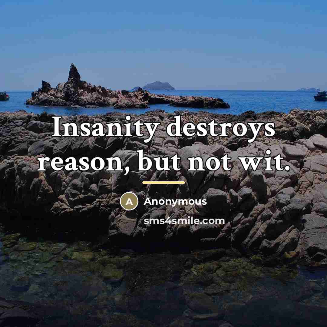 “Insanity destroys reason, but not wit.…” quote by Anonymous