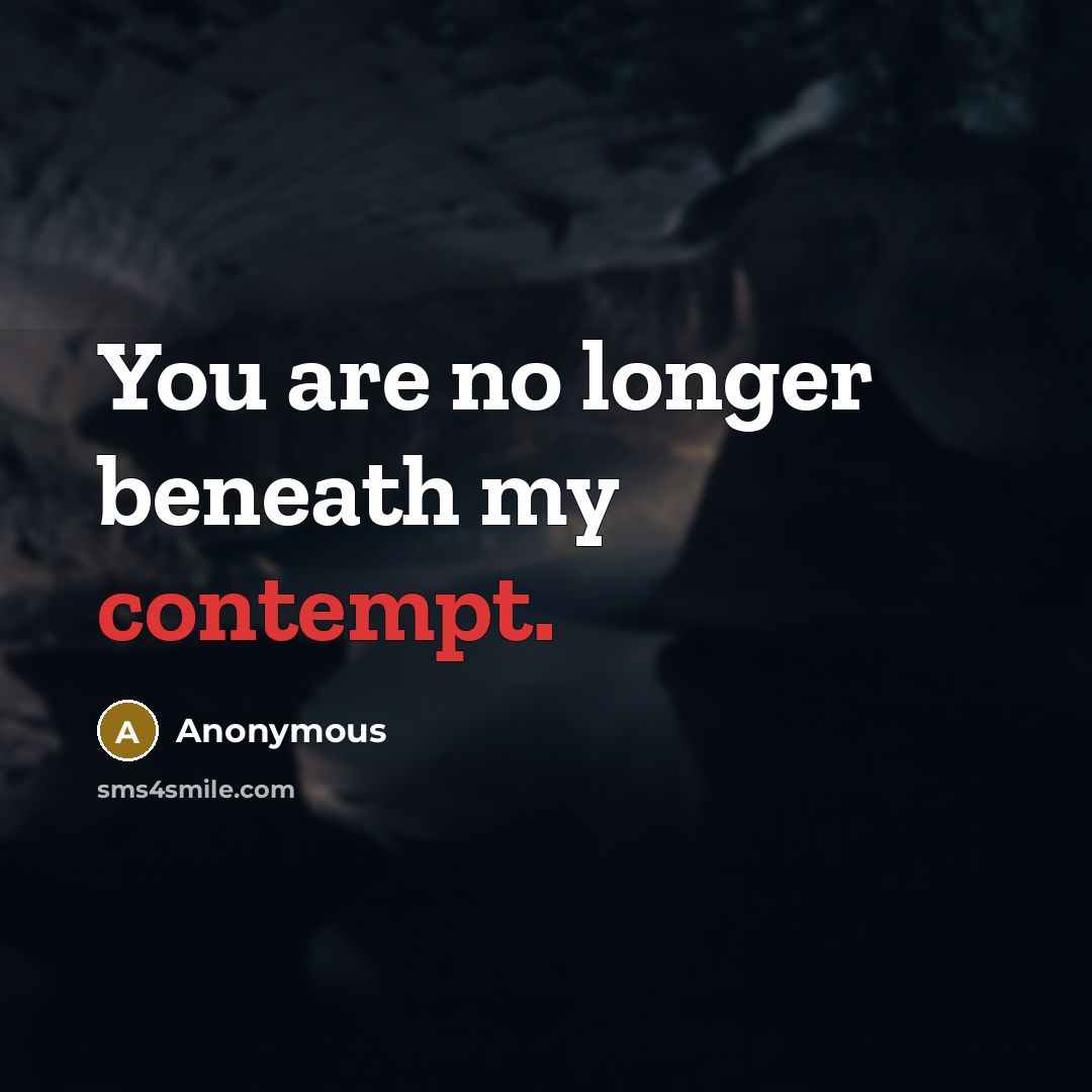 “You are no longer beneath my contempt.…” quote by Anonymous