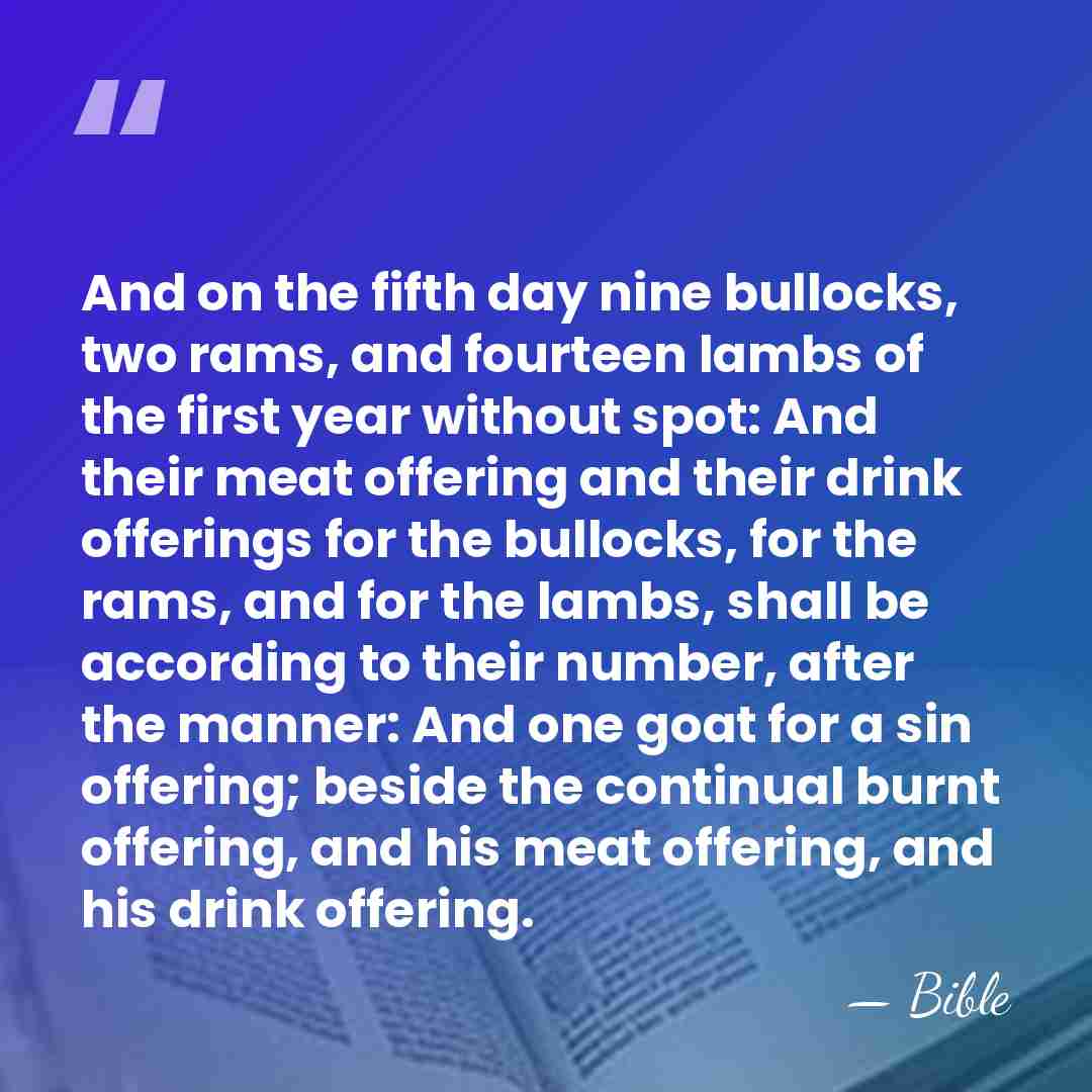 And on the fifth day nine bullocks, two rams, and fourteen lambs&hellip; - Bible