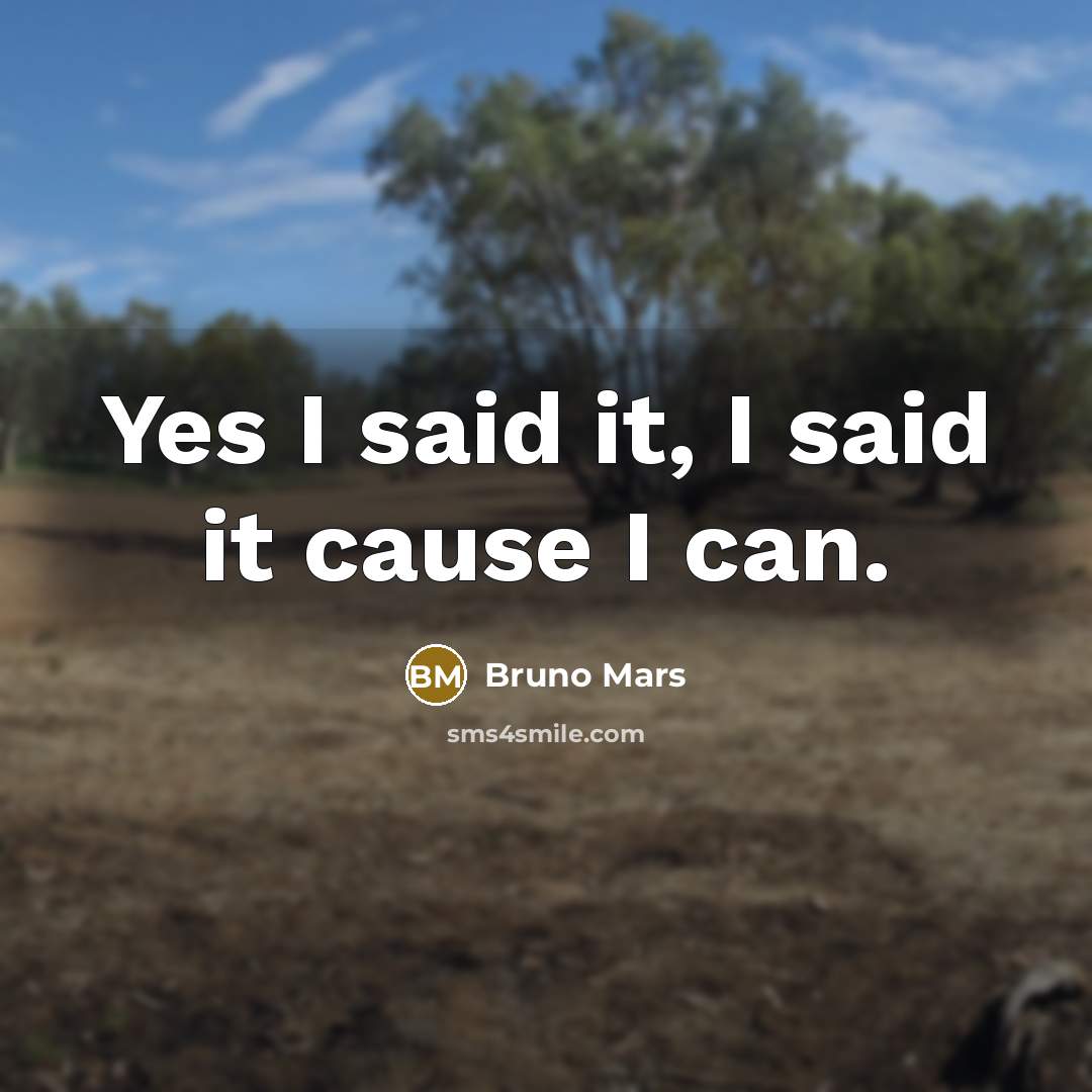 “Yes I said it, I said it cause I can.” quote by Bruno Mars