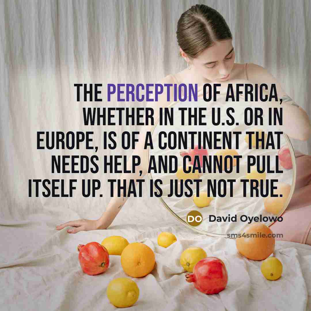 “The perception of Africa, whether in the U.S. or in Europe, is of a continent that needs help, and cannot pull itself up. That is just not true.” quote by David Oyelowo