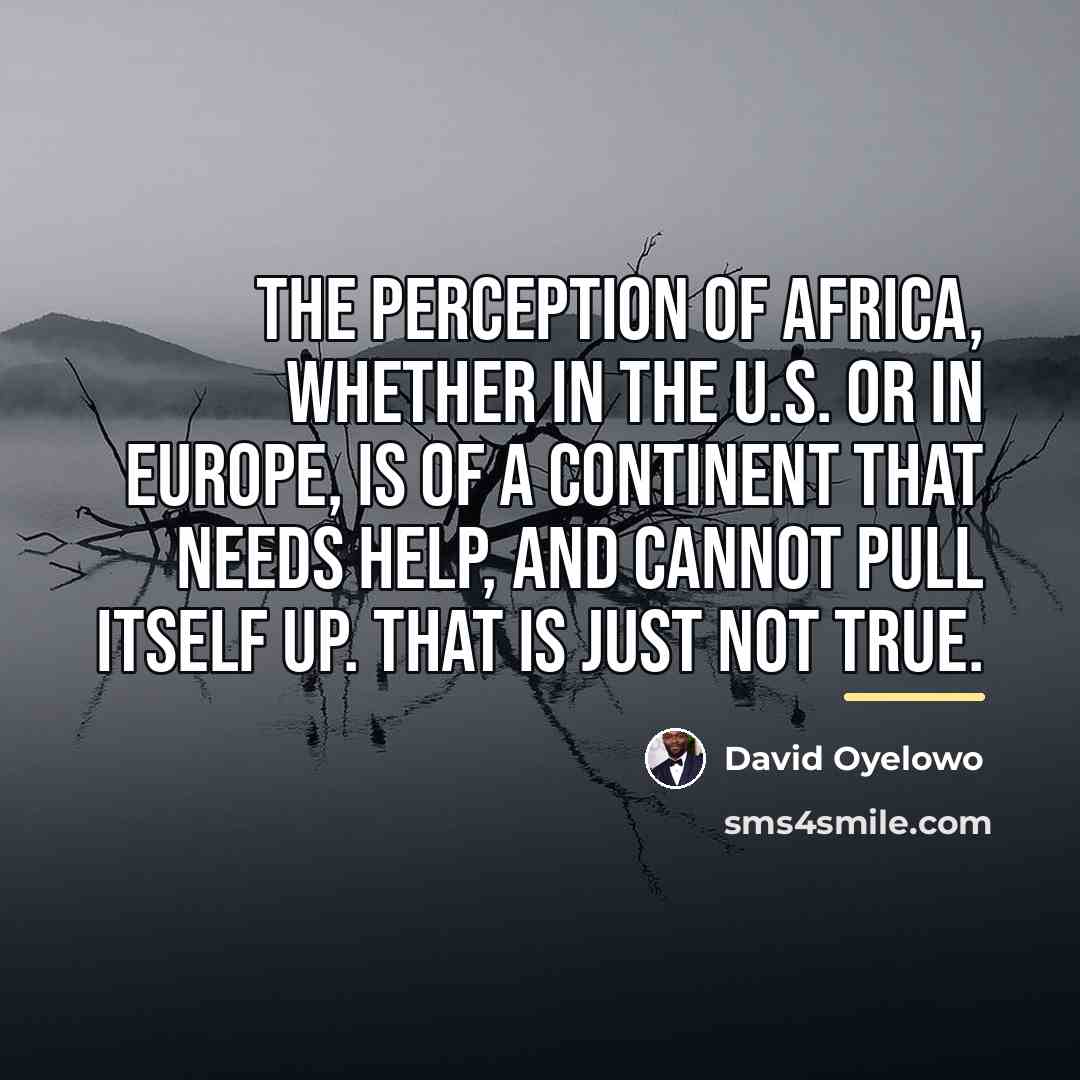 “The perception of Africa, whether in the U.S. or in…” quote by David Oyelowo