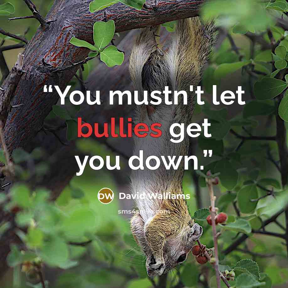 “You mustn't let bullies get you down.” quote by David Walliams