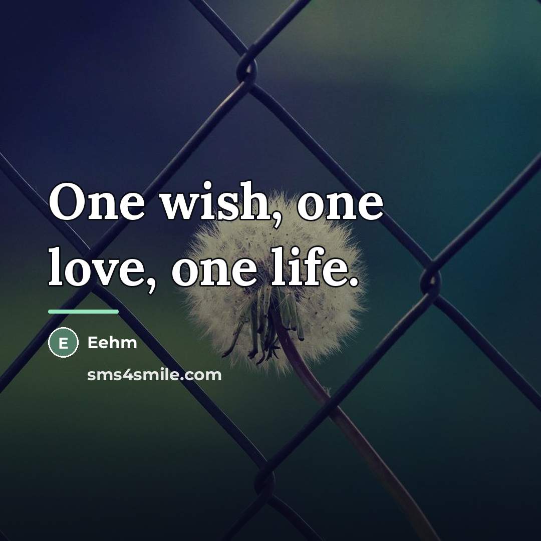 “One wish, one love, one life.…” quote by Eehm
