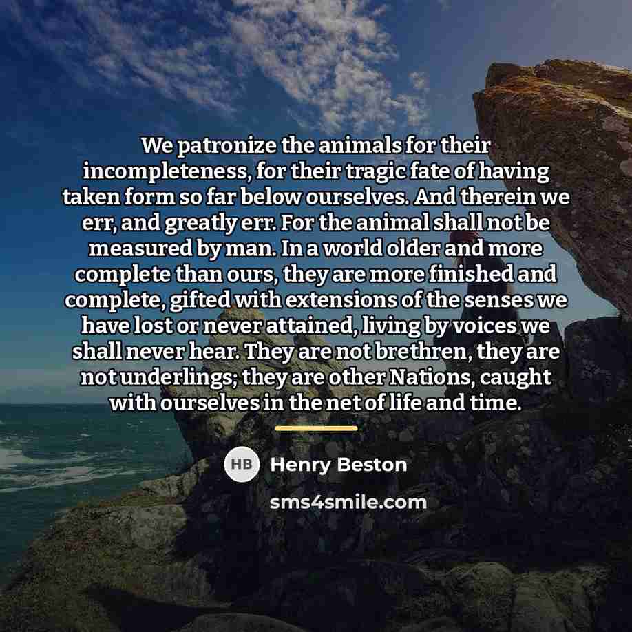 “We patronize the animals for their incompleteness, for their tragic…” quote by Henry Beston