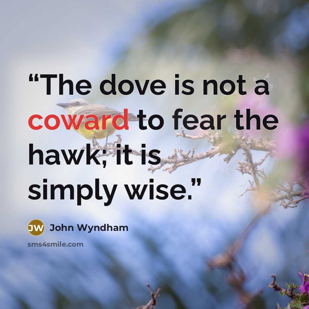 “The dove is not a coward to fear the hawk; it is simply wise.” quote by John Wyndham