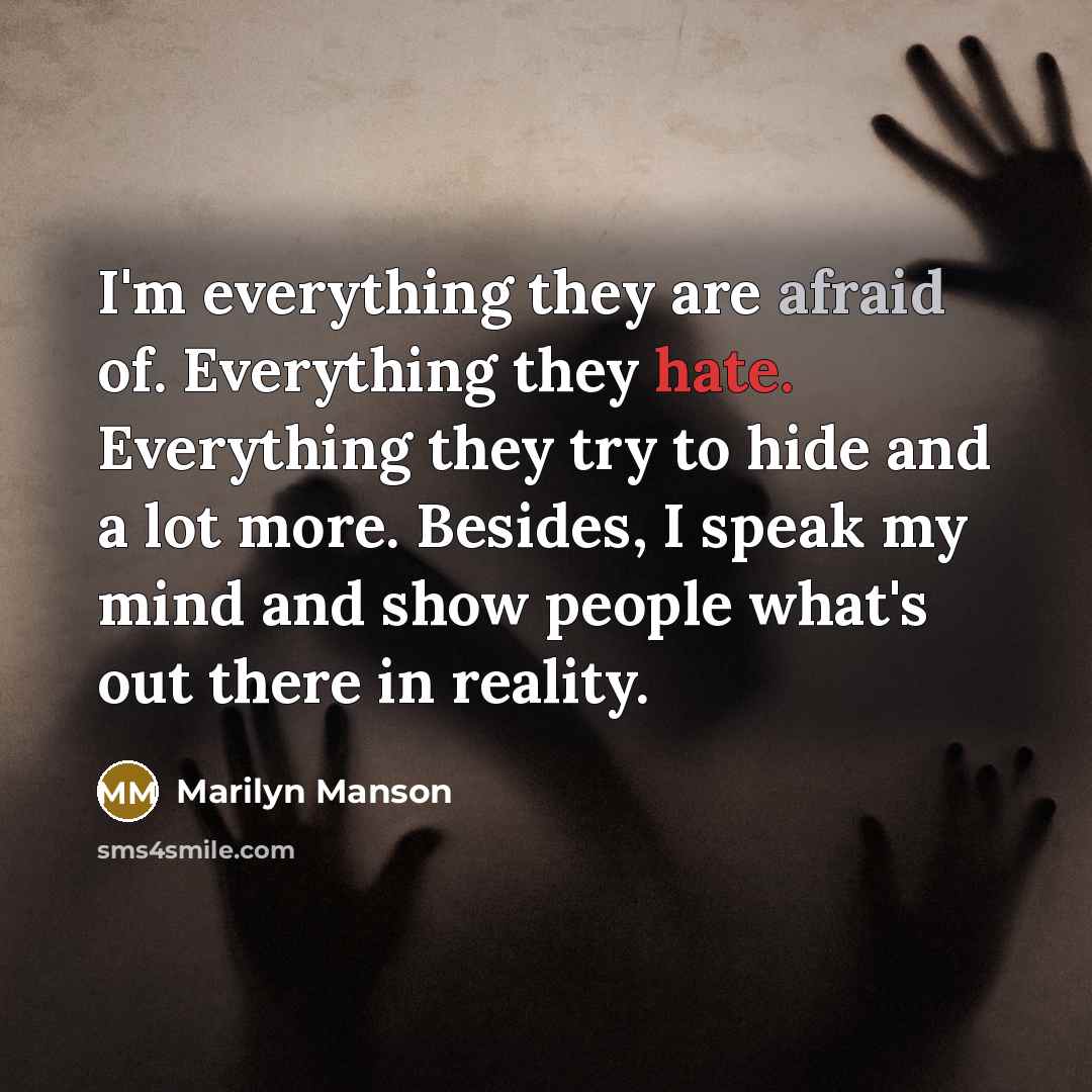 “I'm everything they are afraid of. Everything they hate. Everything…” quote by Marilyn Manson