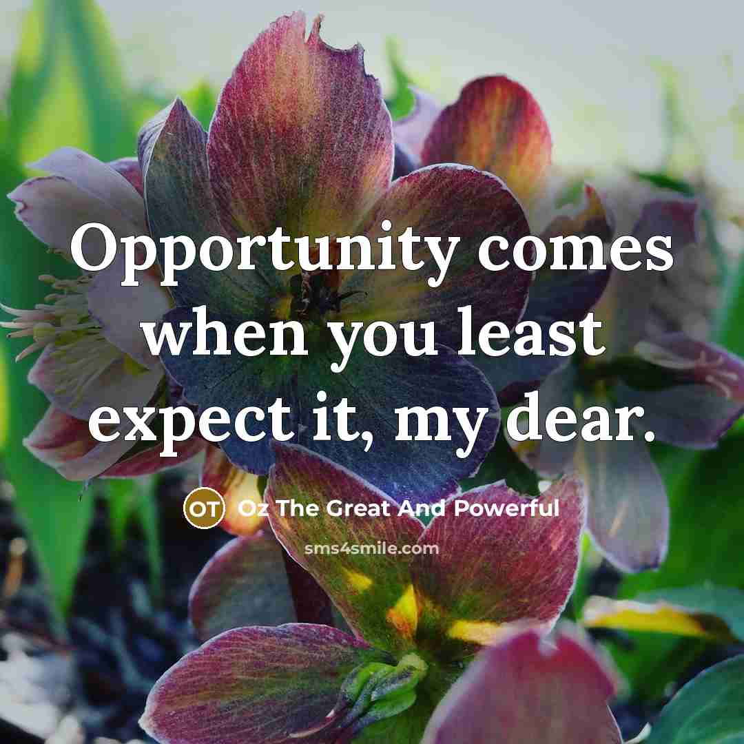 “Opportunity comes when you least expect it, my dear.” quote by Oz The Great And Powerful